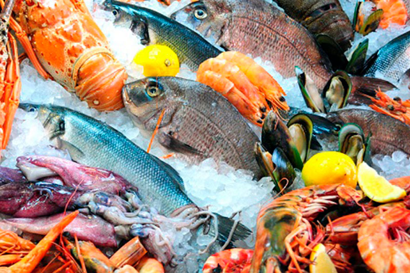 Buscan elevar el consumo de pescados y mariscos en México – COMEPESCA .